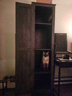 Storage Cabinet