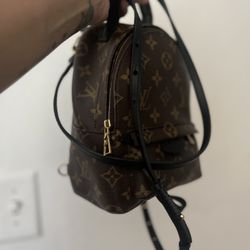 Louis Vuitton Palm Springs Mini