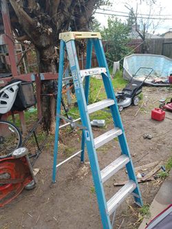 Warner Electro Master Ladder