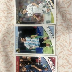 Panini Soccer Trading Cards