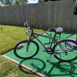 29 Inch Roadmaster Mountain Bike 