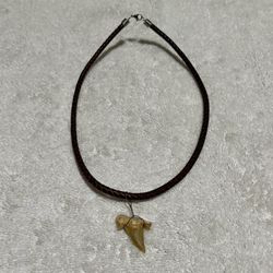 Shark Tooth Necklace