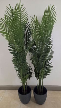 *** REDUCED *** PAIR of 72" Faux Areca Palms in 12" (Diameter) Gray Resin Planters (2 for $120) @ Lasting Creations