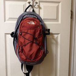 The North Face Radius  backpack (16-17 inch) crossbody / Sling