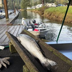 15 foot smoker Alaskan