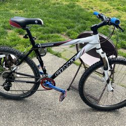 Giant Bike