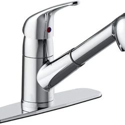 Seasons Raleigh Single Handle Kitchen faucet 