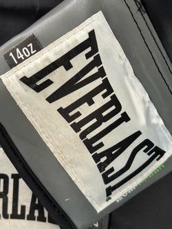 Everlast Boxing Gloves