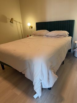 Green Velvet Upholstered Bed Frame and queen mattress