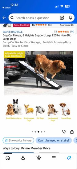 Dog ramp foldable brand new in box