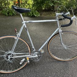 1984 Panasonic Sport 500 60cm Japanese 🇯🇵 10 Speed Road Bike 