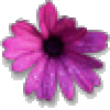Khalia