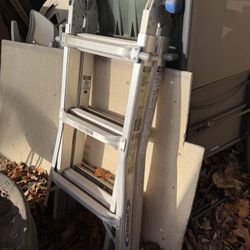 Folding Ladder