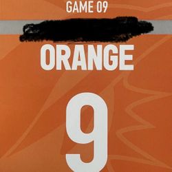 Miami Dolphins Parking Pass 