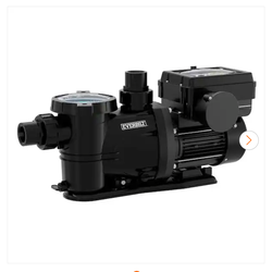 Everbuit 1 1/2hp Variable Speed Pump