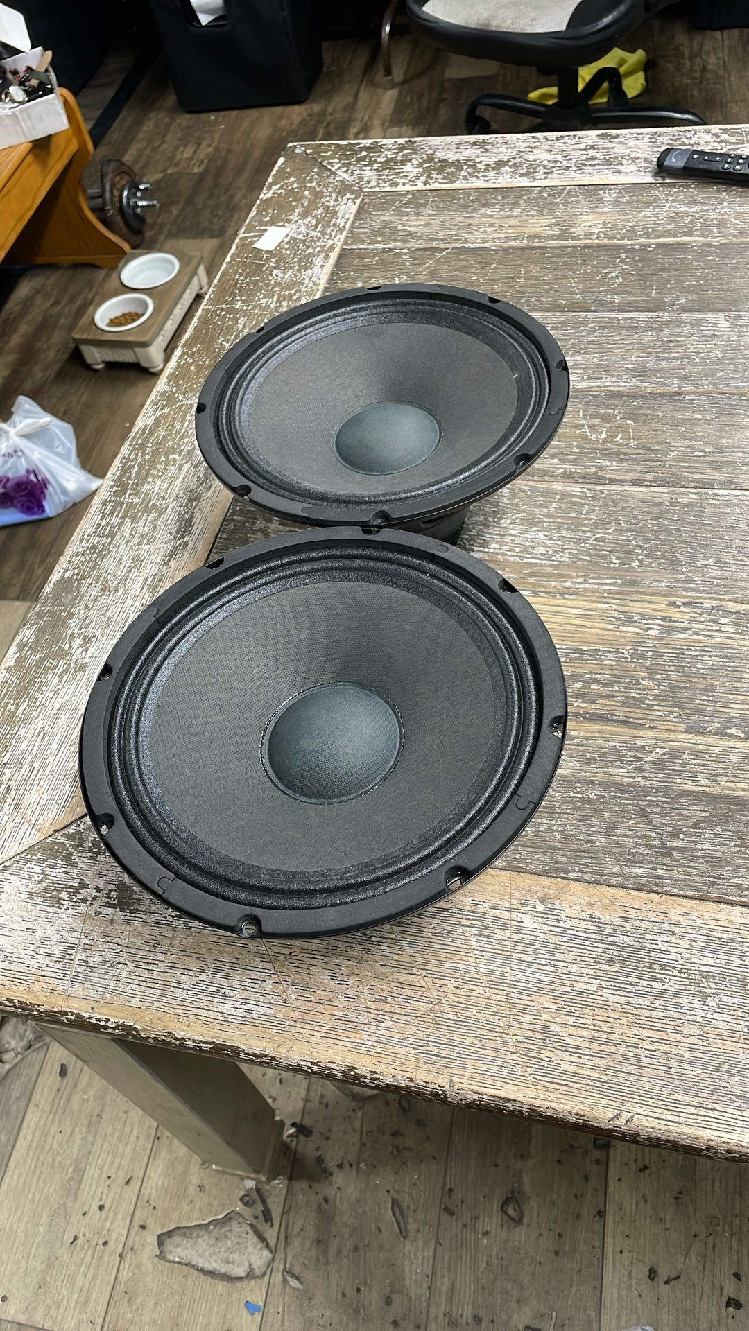 10” Speakers Pair $70