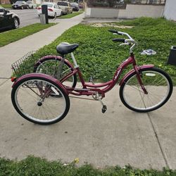 Schwinn Adult Tricycle Trike Women/Men 3 Wheel Bike with Storage Basket
