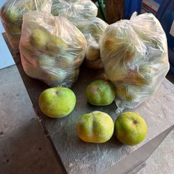Sapote Blanco
