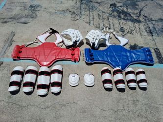 Martial Arts pads