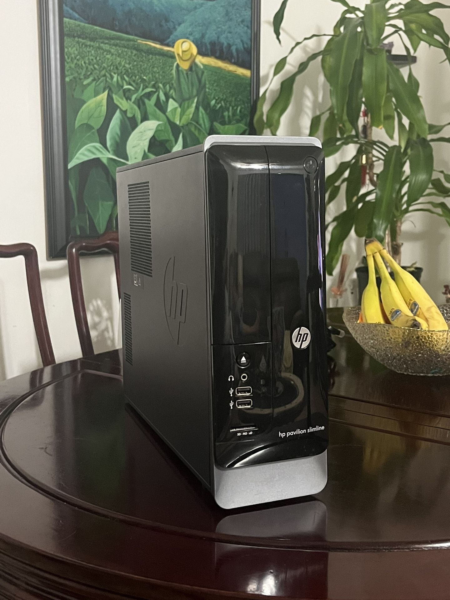 HP Pavilion Slimline Computer