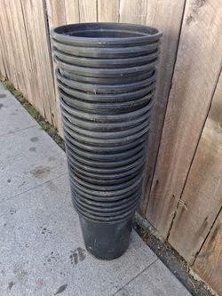 Plant pots 2 gallons 25 of them $3 each obo Slauson ave /western by homedepot