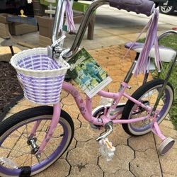 Little Girls Bike Great Condition