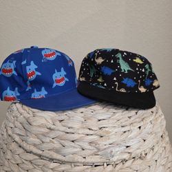 Boys Baseball Hats Shark & Dino