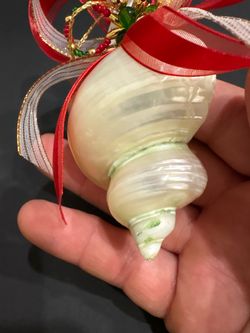 Vintage Bermuda Souvenir Handcrafted Polished Sea Shell Ornament