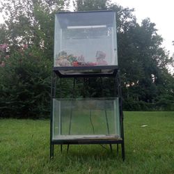 Two Aquariums With Stand 