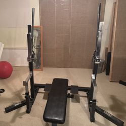 Titan Fitness Competition Bench/Squat 