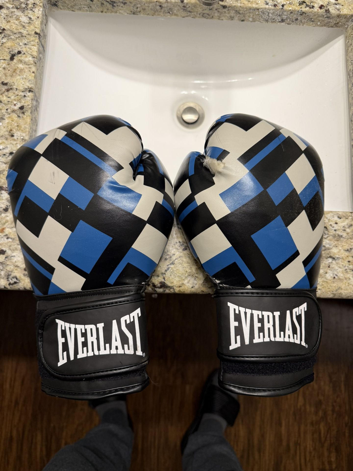 Everlast 14 Ounce Training Gloves