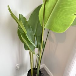 Ikea Fake Plant