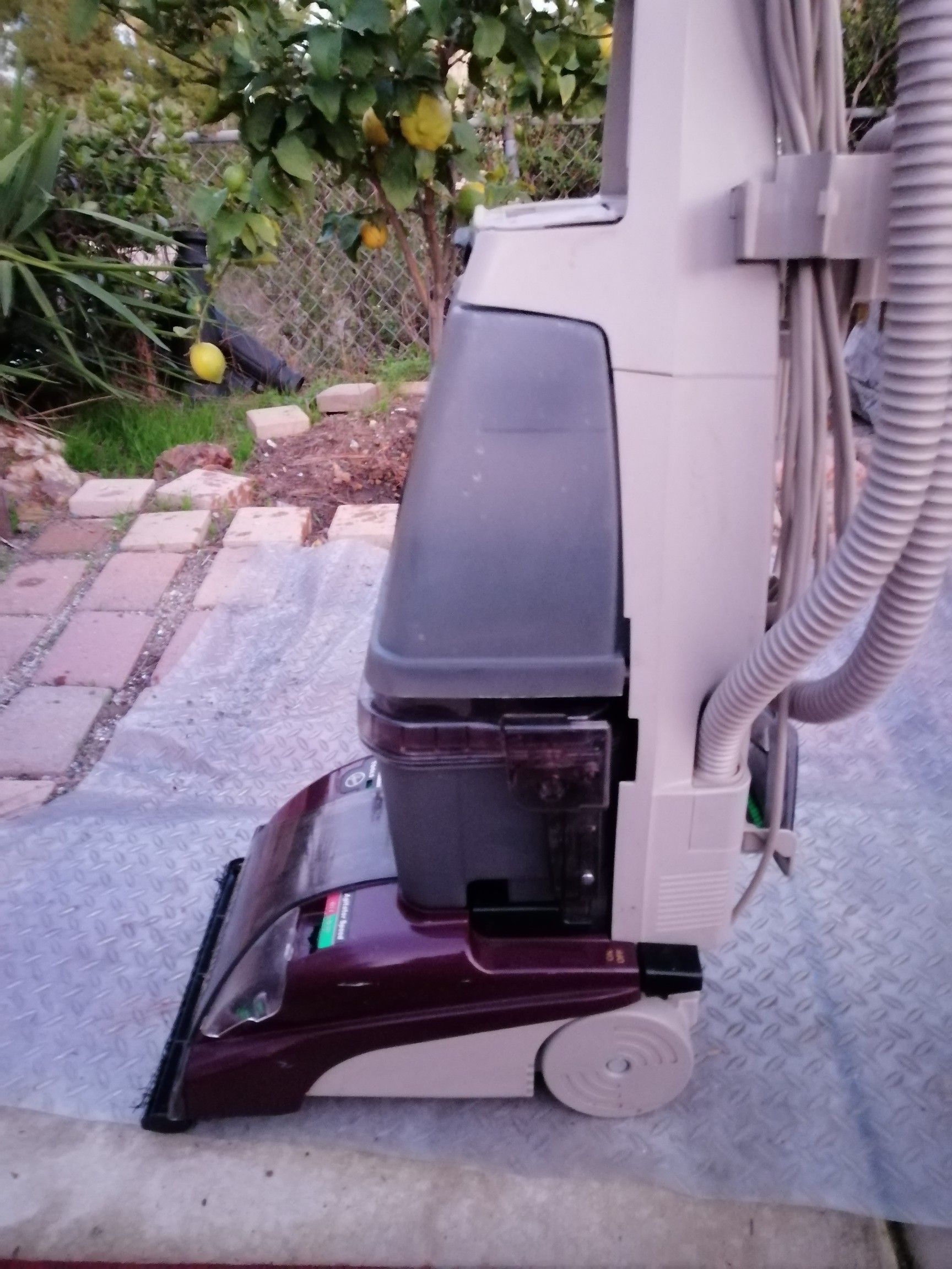 Hoover Steamvac Ultra Model F5881-900 5 Rotating Brushes and Powered Hand Tool w Floor Cleaning Mode and Agitator Control