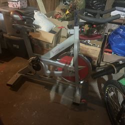 Sunny Exercise Bike 