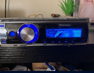 Pioneer dolphin 🐬 Bluetooth