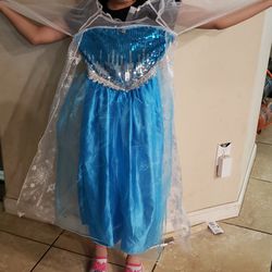 Disney Elsa Costume 