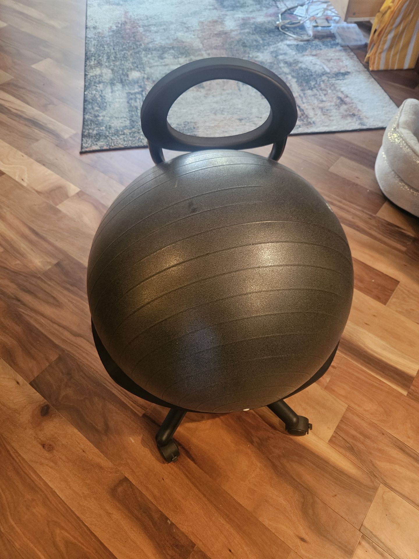 Balance Ball Chair by Giaim