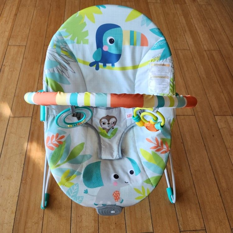 Bright Starts Baby Bouncer