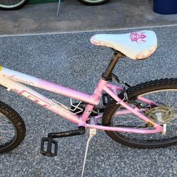 Gt scamp 24 hot sale