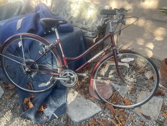 Vintage Schwinn Bike 