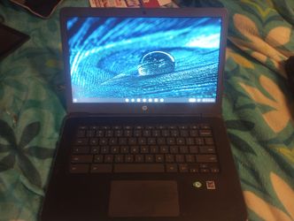 Hp Chromebook Laptop 
