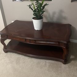 Elegant Dark Wood Coffee Table