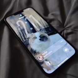 iPhone 13pro Max 128 