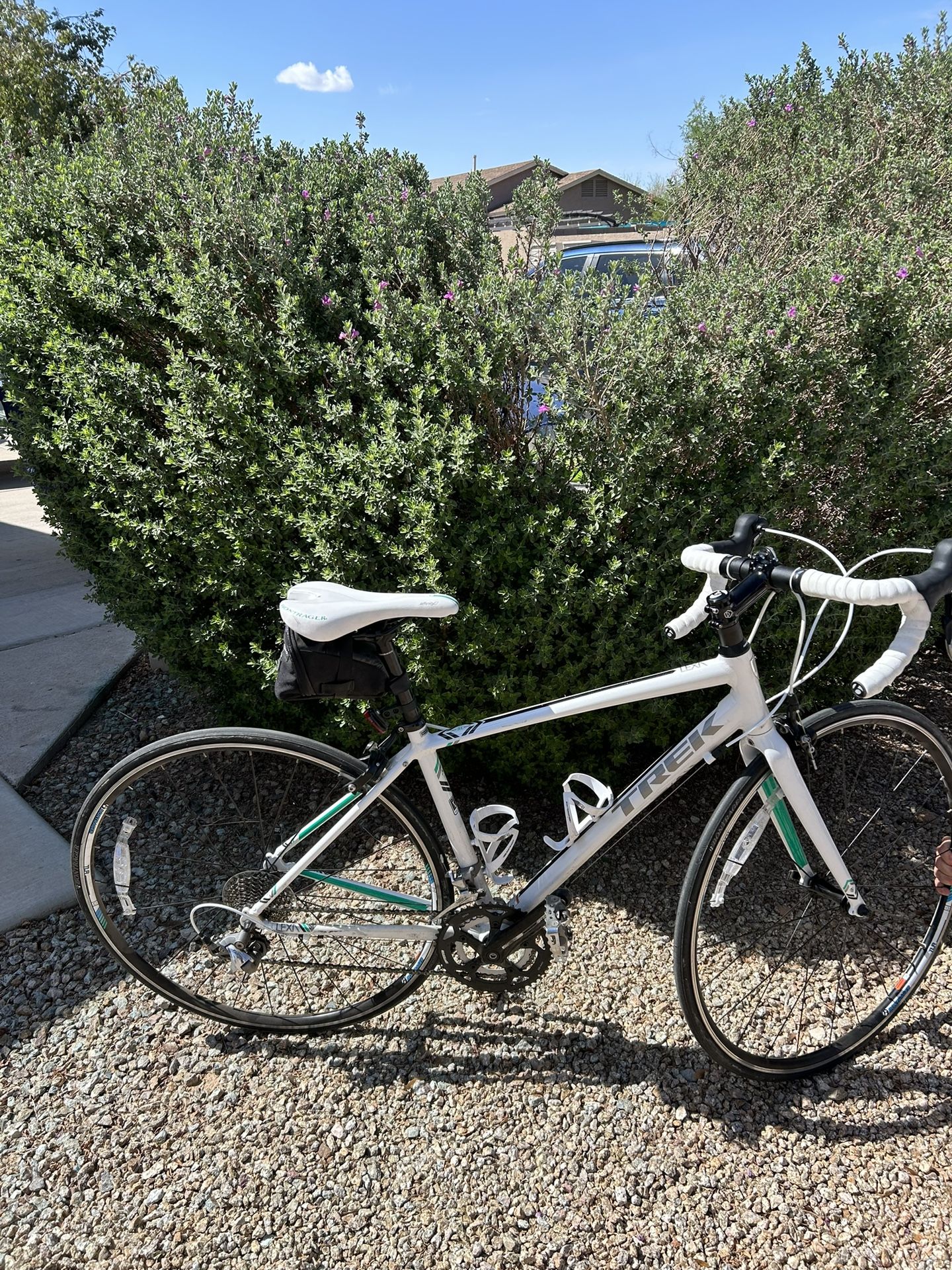 Trek Women’s Road Bike