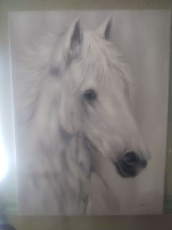 Beautiful White  Horse Canvas Large 48" tall x 36" wide