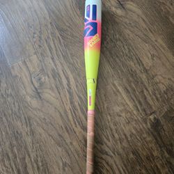 Easton "THE DUB" 29" Drop -8  Baseball Bat – Great Condition