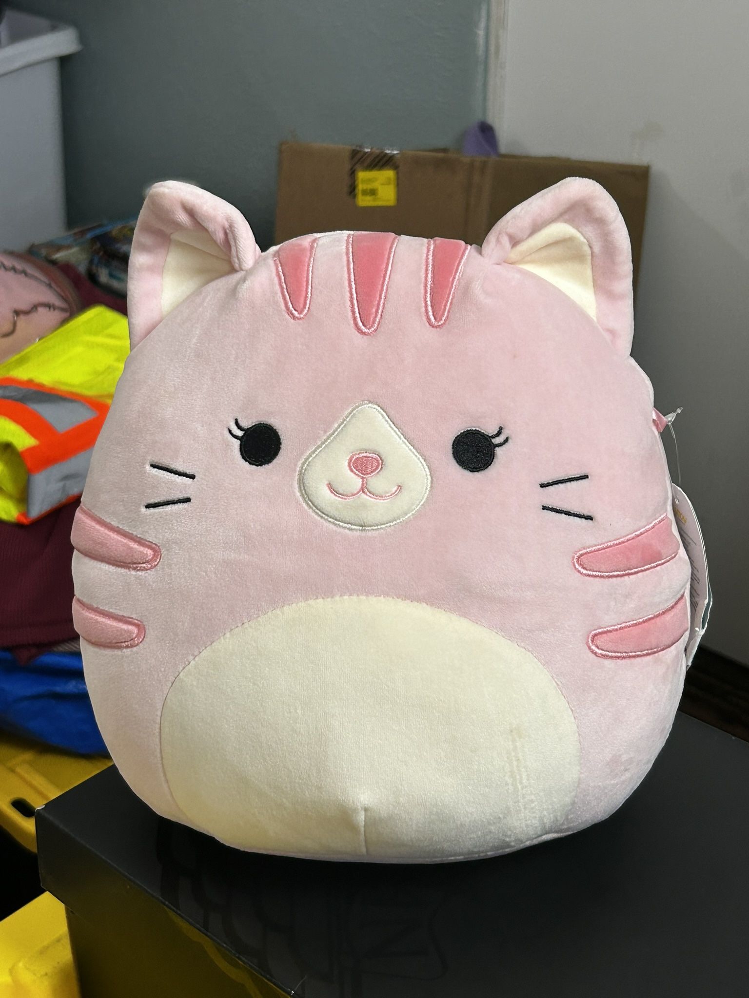 Squishmallow Laura The Pink Tabby Cat
