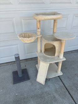 Cat condo and scratching post