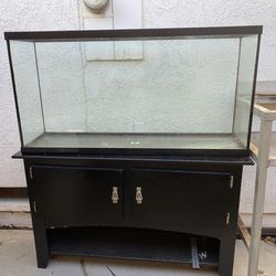 60 Gal Aquarium With Stand. Also More Available