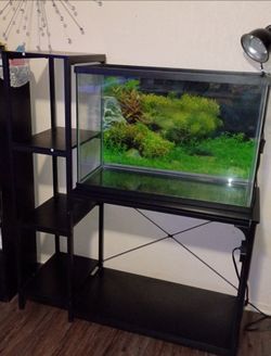 29 gallon fish tank and stand